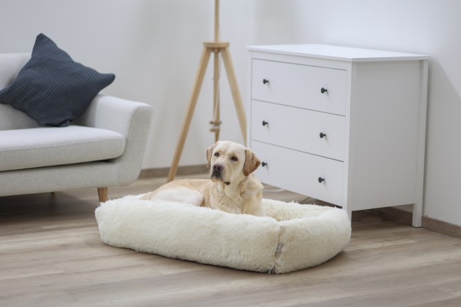 KERBL Kuschelbett Fluffy, creme