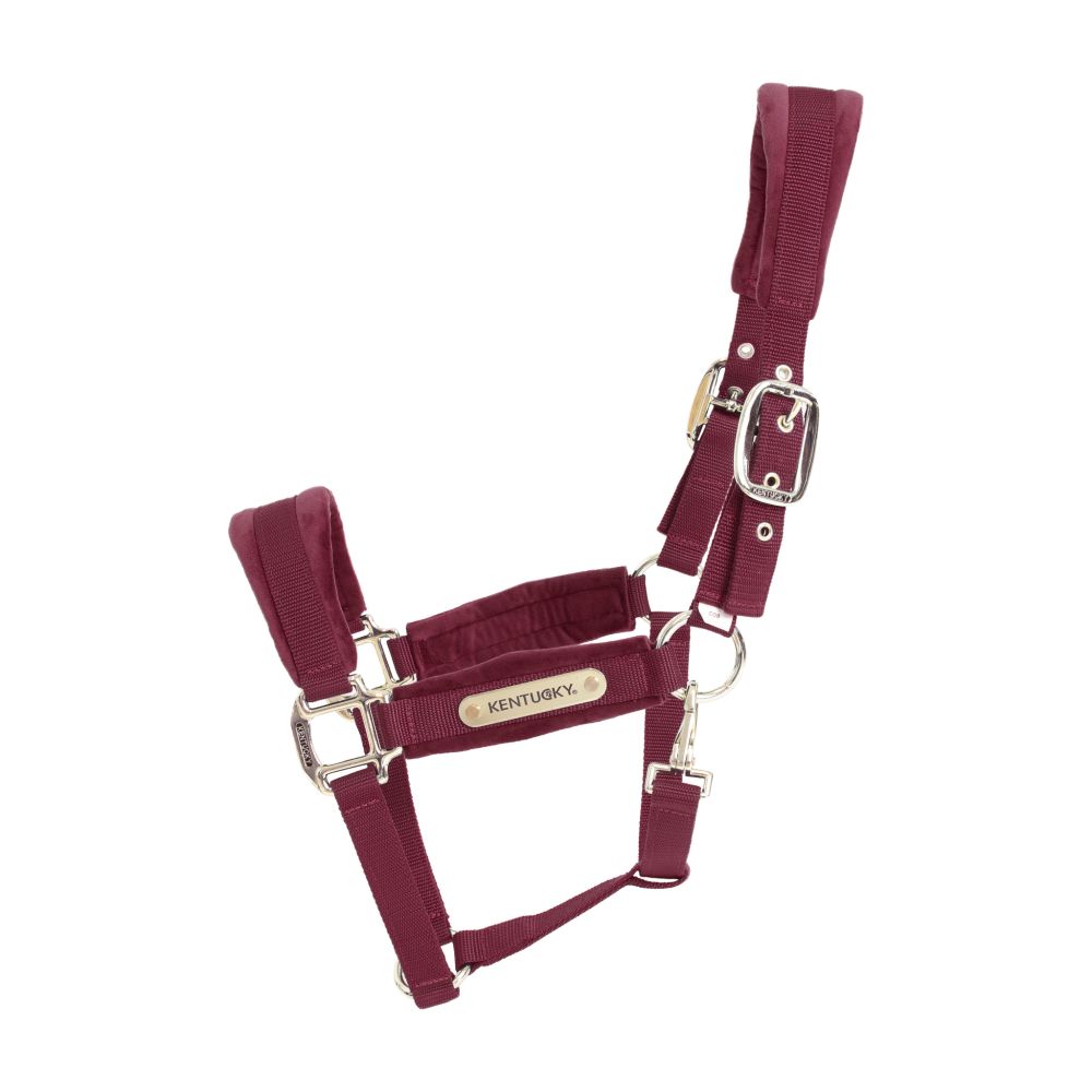 KENTUCKY® HORSEWEAR Velvet Halfter, bordeaux