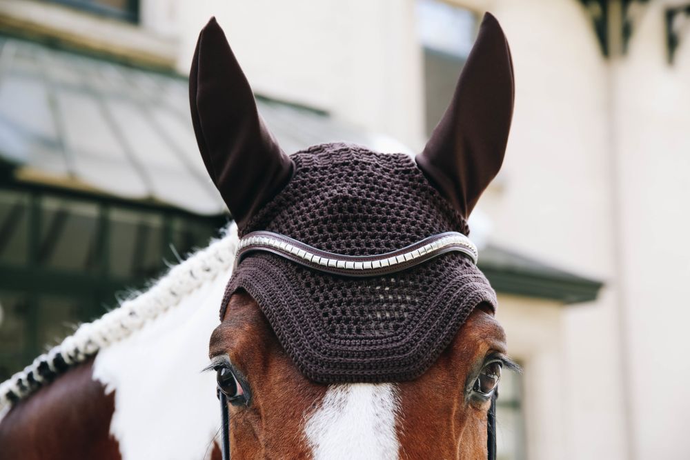 KENTUCKY® HORSEWEAR Fliegenhaube Wellington, braun
