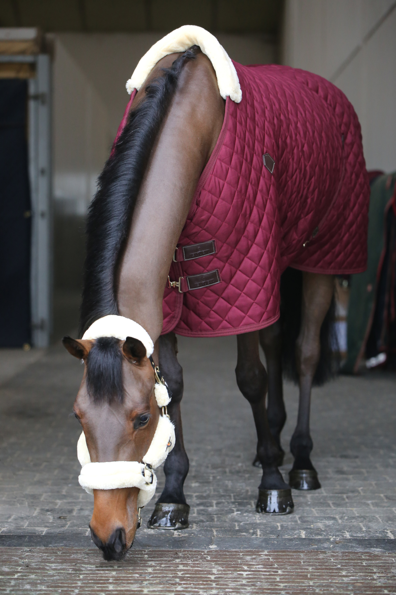 KENTUCKY® HORSEWEAR Stalldecke 400 g, bordeaux