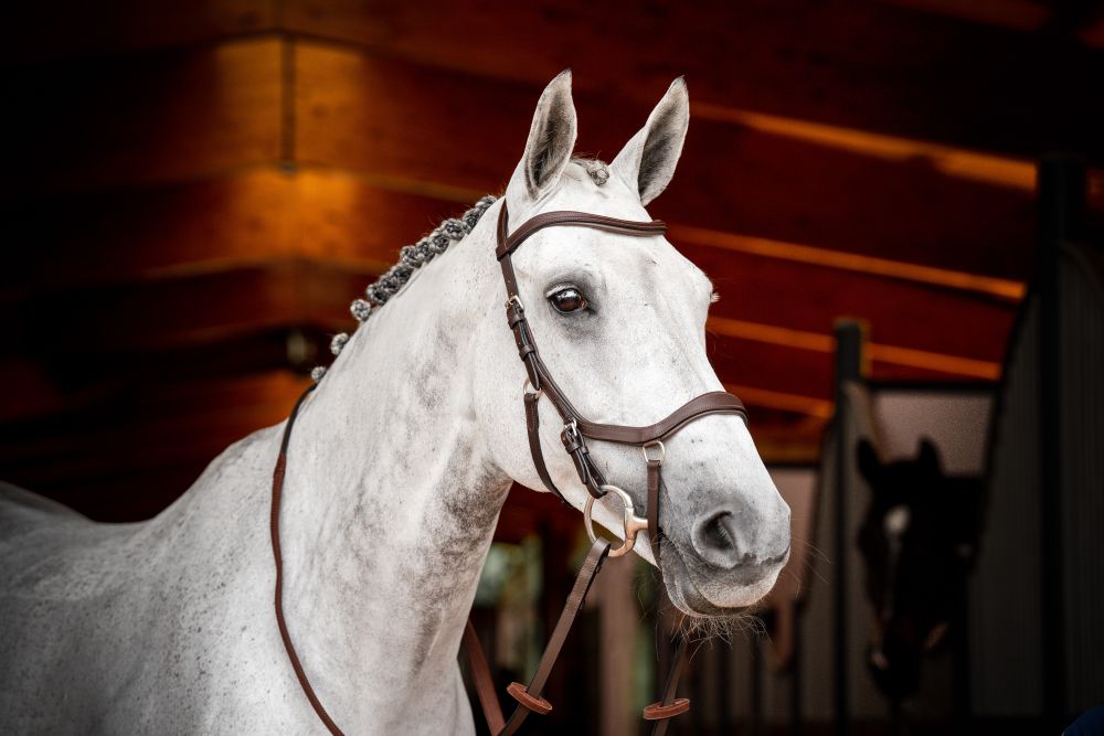HORSEWARE® Micklem® 2 Competition Bridle, dark havana