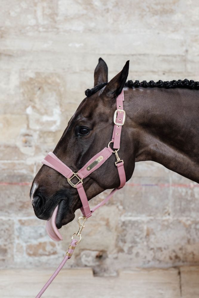 KENTUCKY® HORSEWEAR Velvet Halfter, altrosa