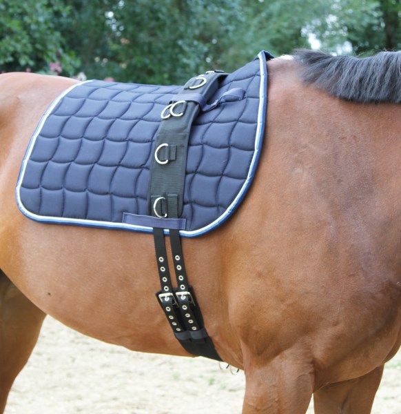 KERBL Longiergurt Nylon, 9 Ringe Pony, verstellbarer Bauchgurt