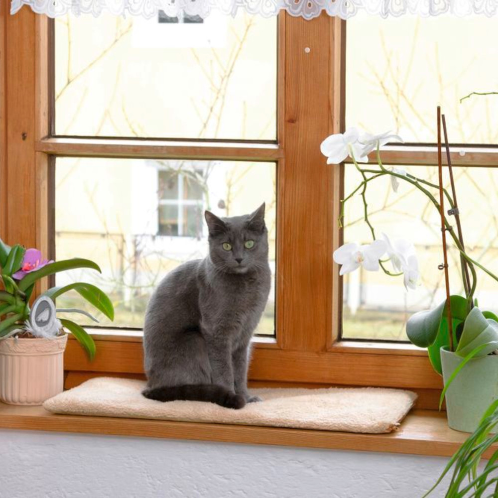Fensterliegekissen