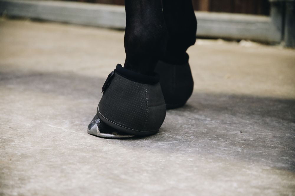 KENTUCKY® HORSEWEAR Hufglocken Air Tech, schwarz