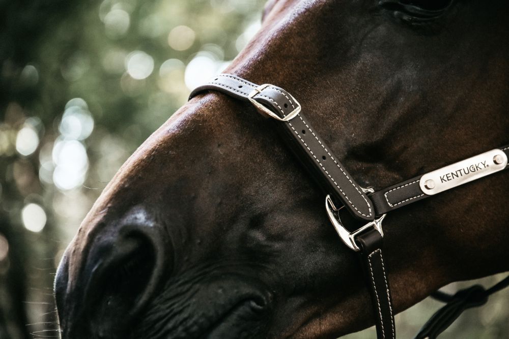 KENTUCKY® HORSEWEAR Lederhalfter flexibel