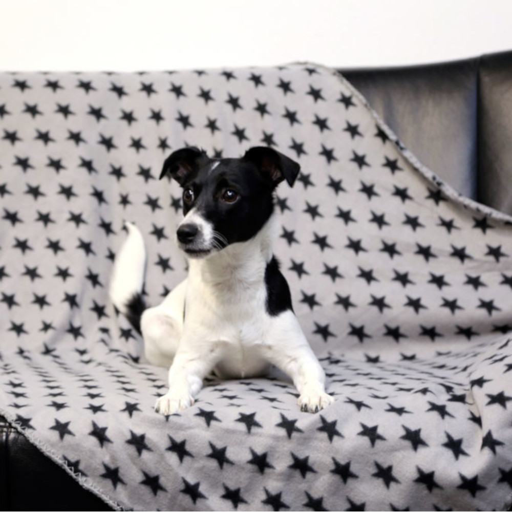 Hundedecke Stella