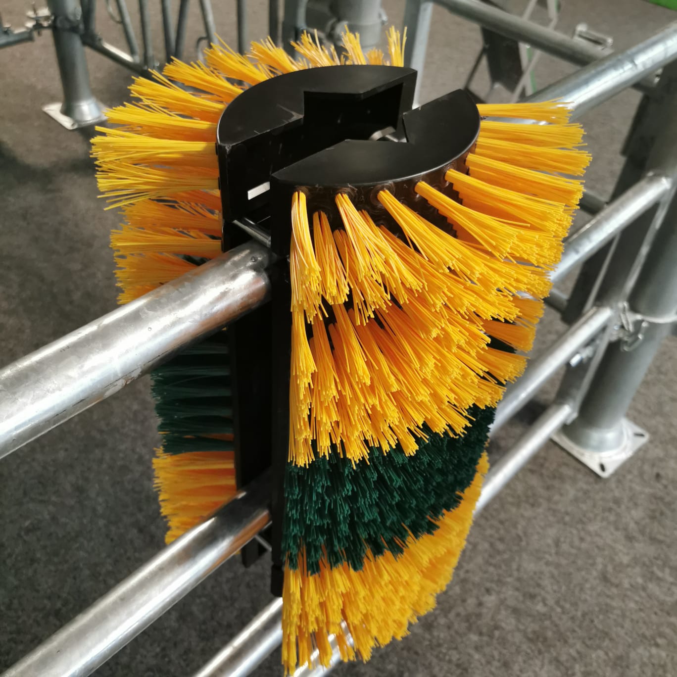 PATURA Kratzbürste Multifix