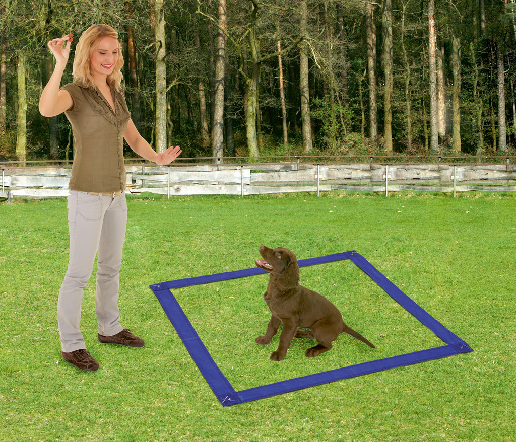 Fun Agility Starter Set