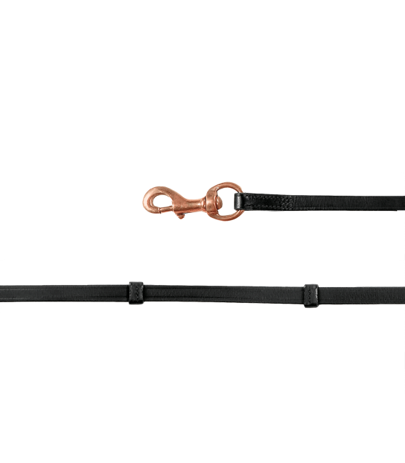Island Zügel mit Karabiner