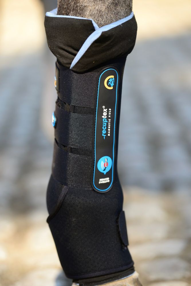 KENTUCKY® HORSEWEAR Magnetic Recuptex Stallgamasche