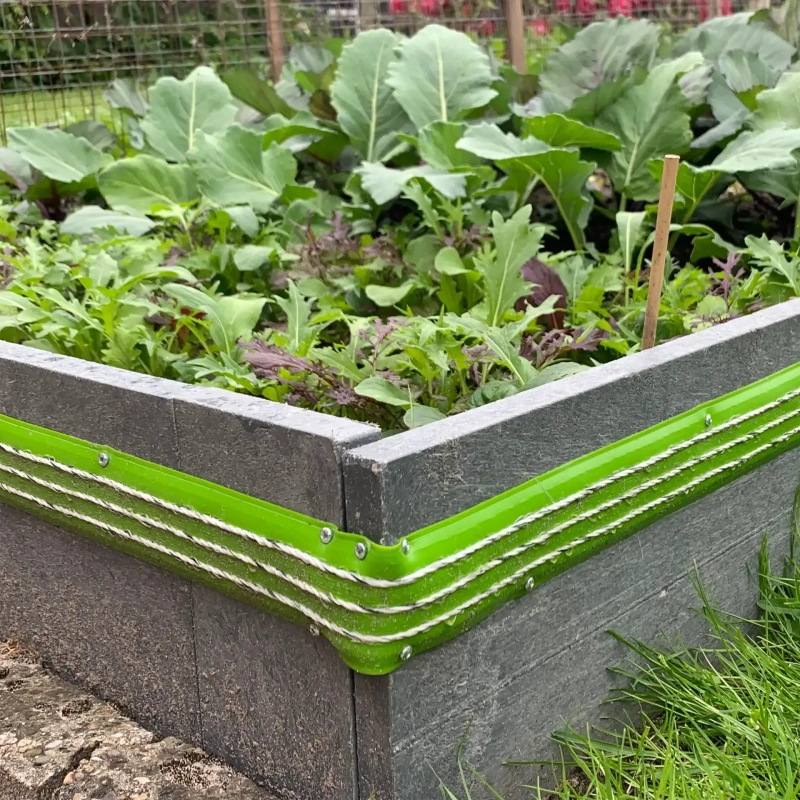 GALLAGHER Schneckenzaun Set S6 Solar 