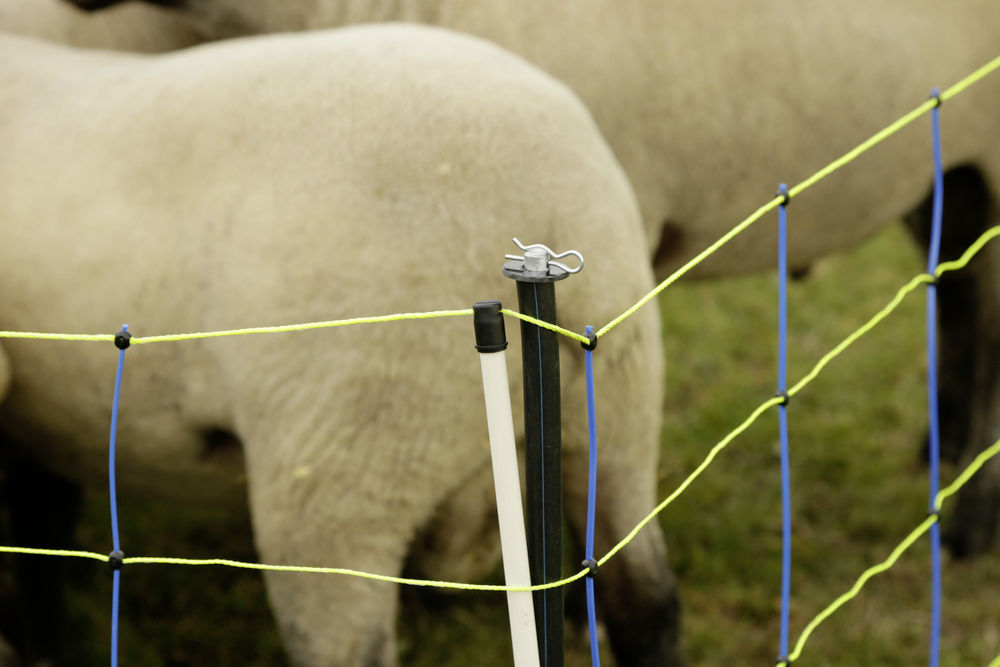 KERBL Unterstützungspfähle für Weidenetze