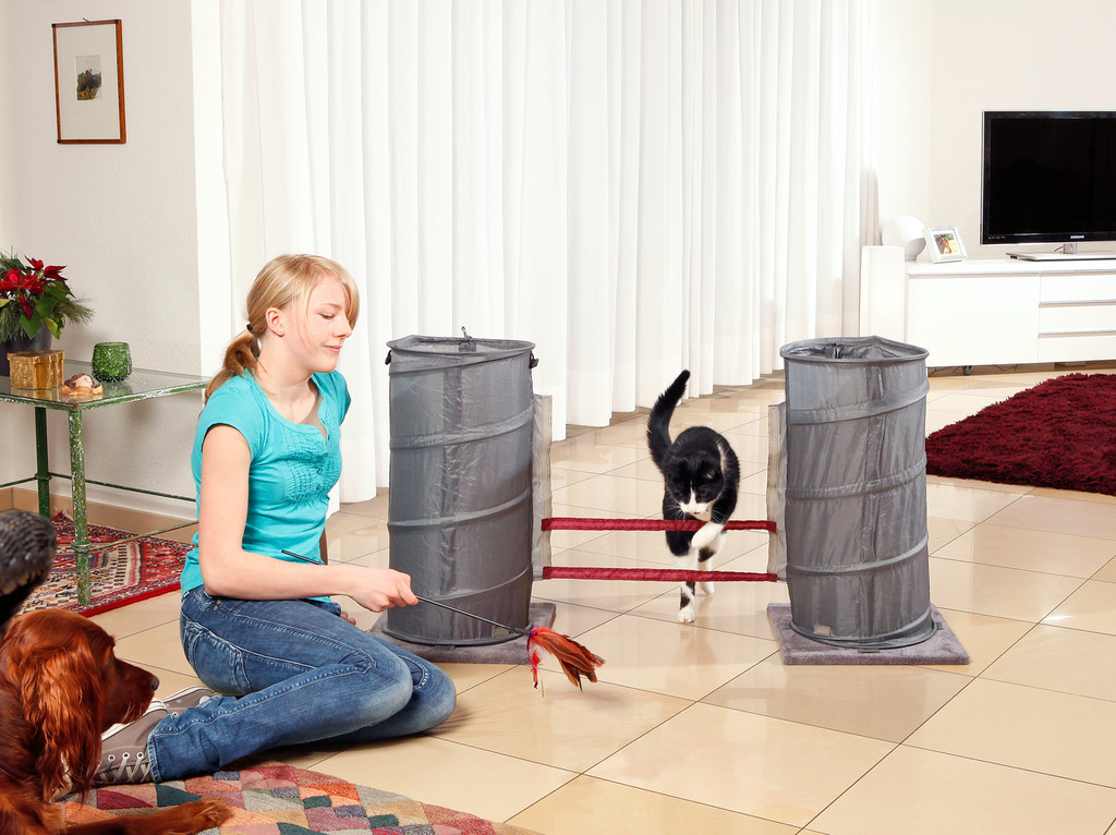 Cat Agility Set