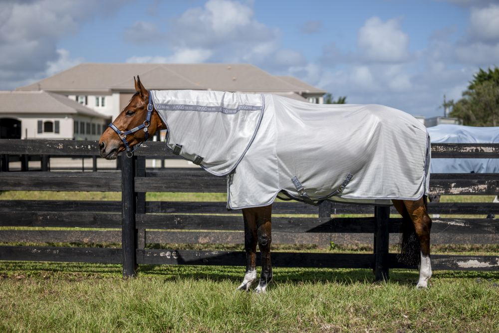 HORSEWARE® Fliegendecke Amigo® Bug Rug Plus, silver/titanium 