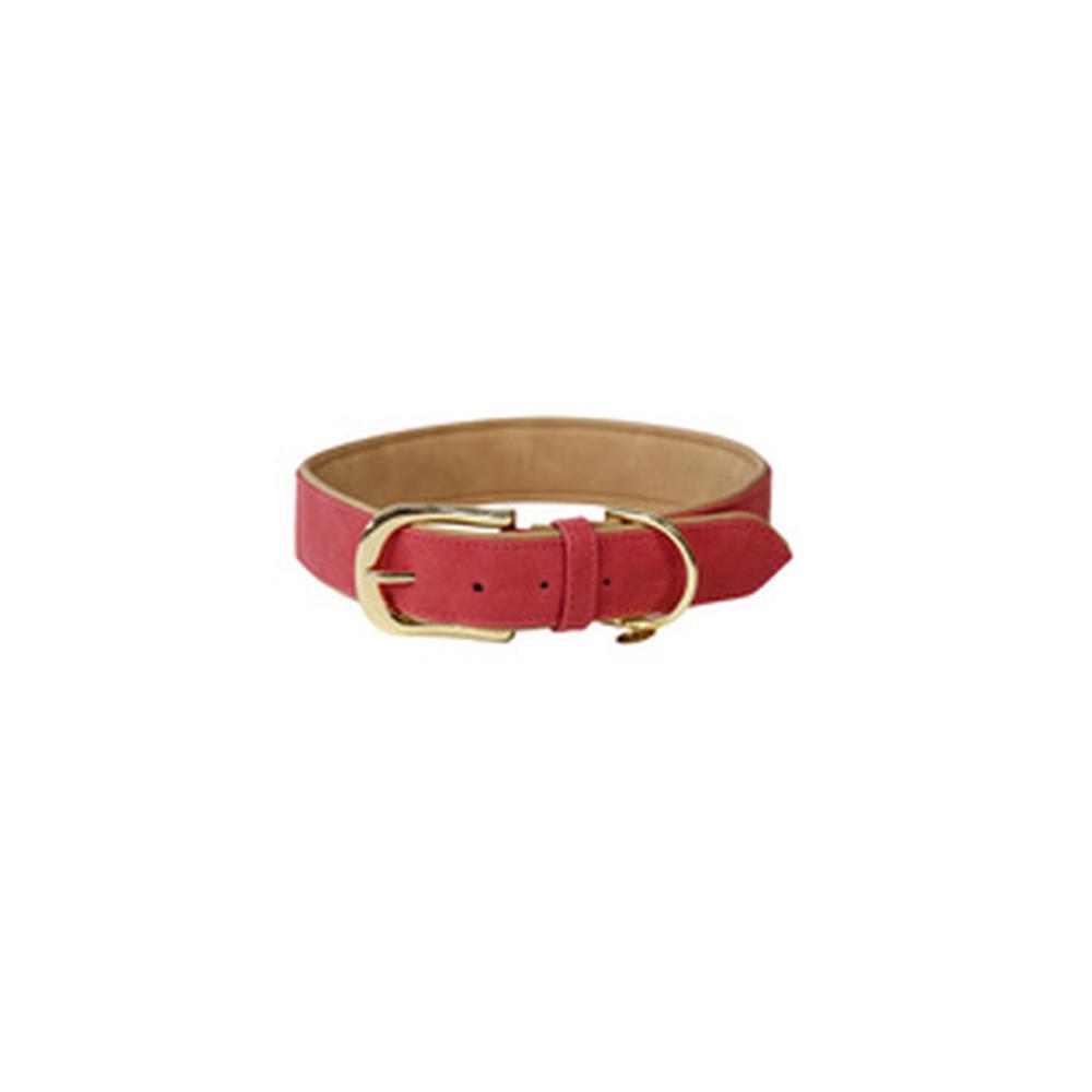 KENTUCKY® DOGWEAR Hundehalsband aus veganem Leder, rot