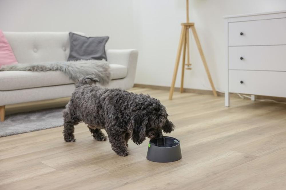 KERBL Multifeeder Basis für Hunde und Katzen