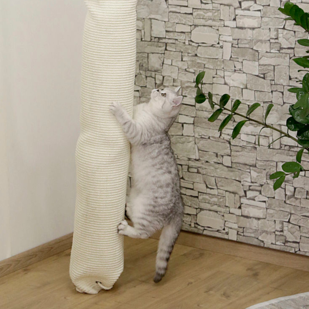 Klettersack Climber
