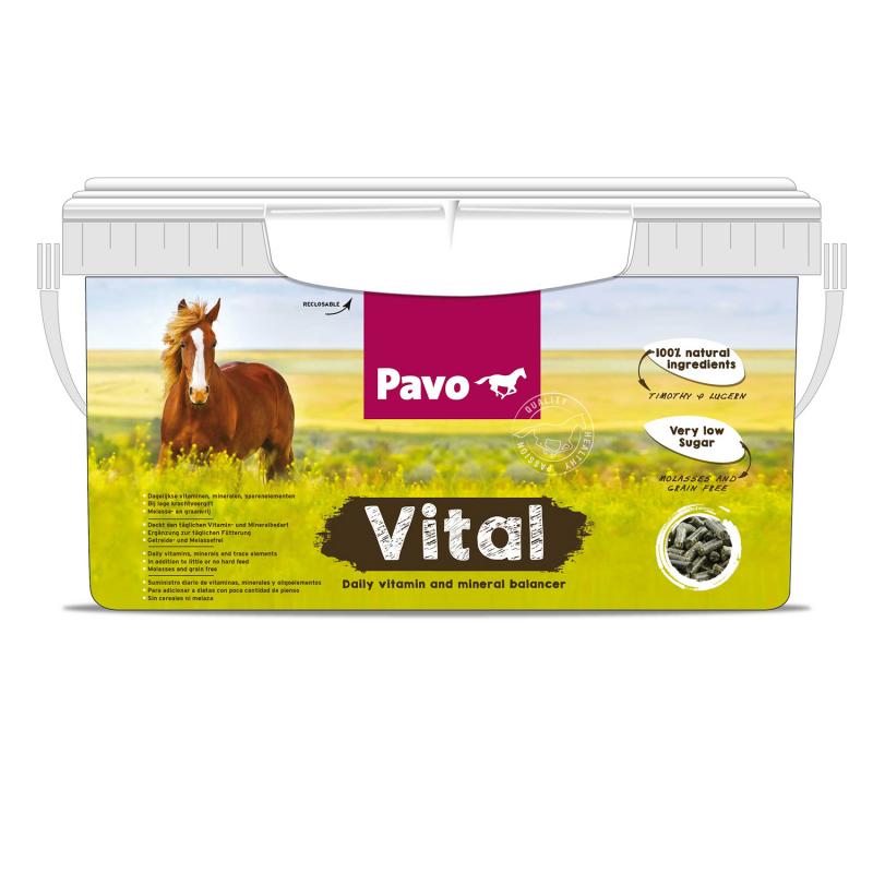 PAVO Vital