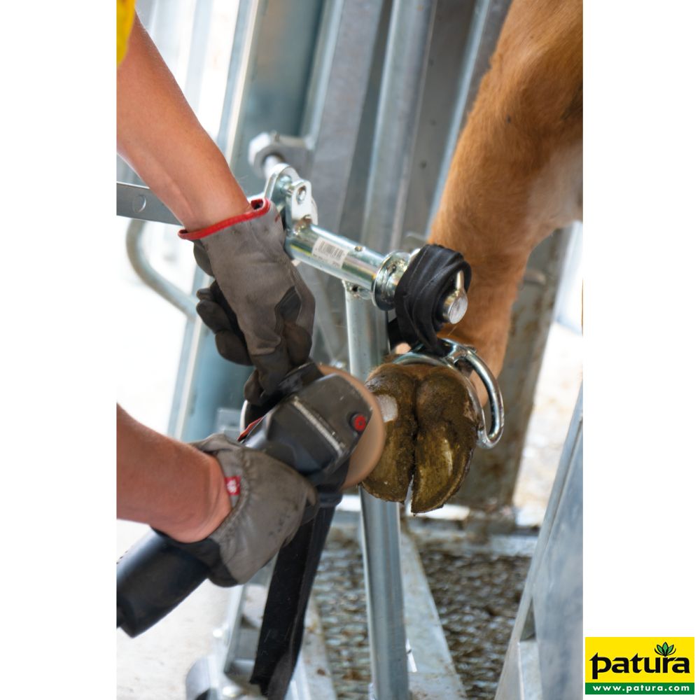 PATURA Behandlungsstand A 8000