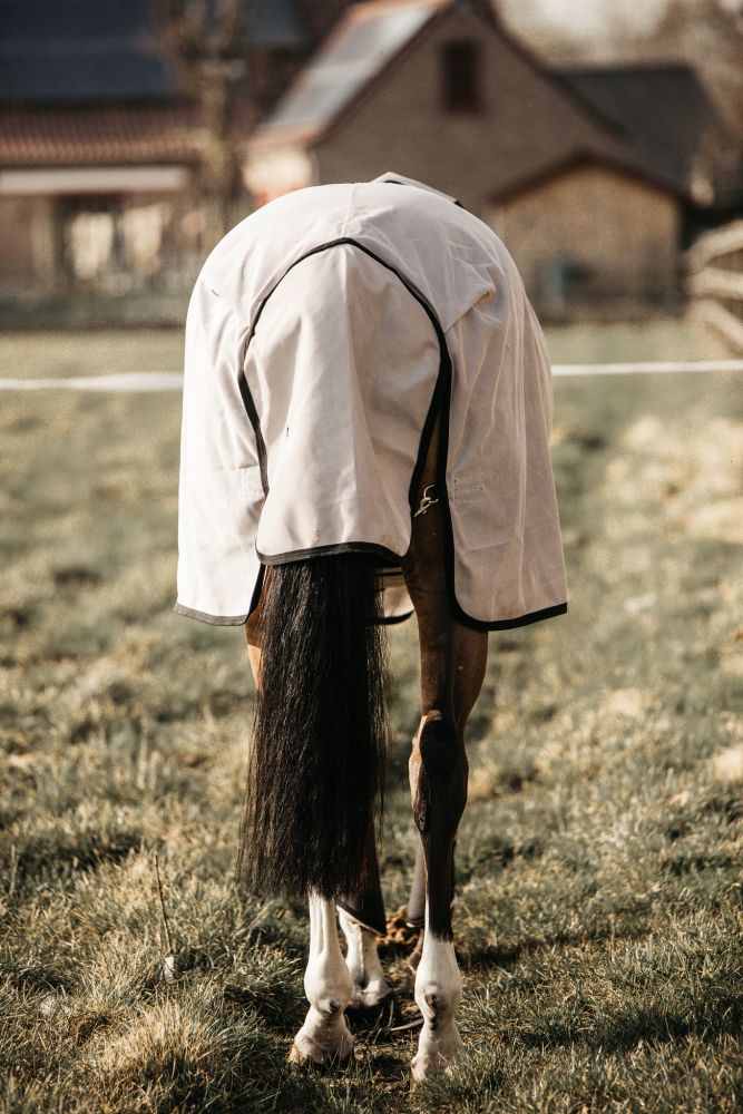 KENTUCKY® HORSEWEAR Mesh Fliegendecke mit Halsteil