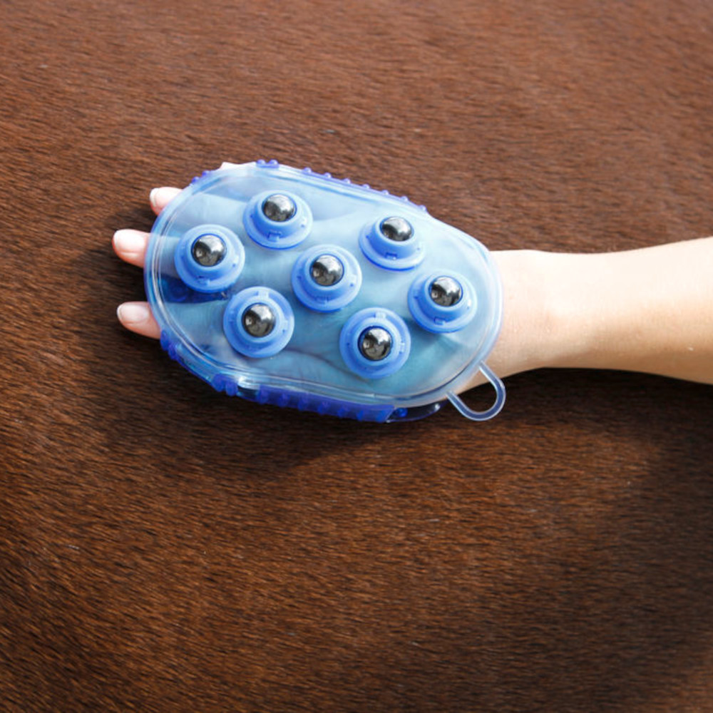 Magnet-Massage-Striegel