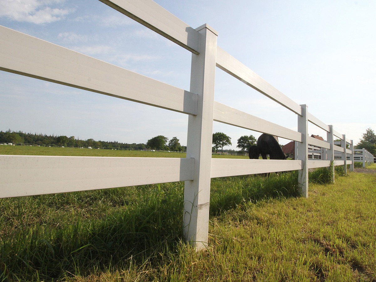 GROWI® Reitplatz-Einzäunung Ranch S 3, 20 m x 40 m