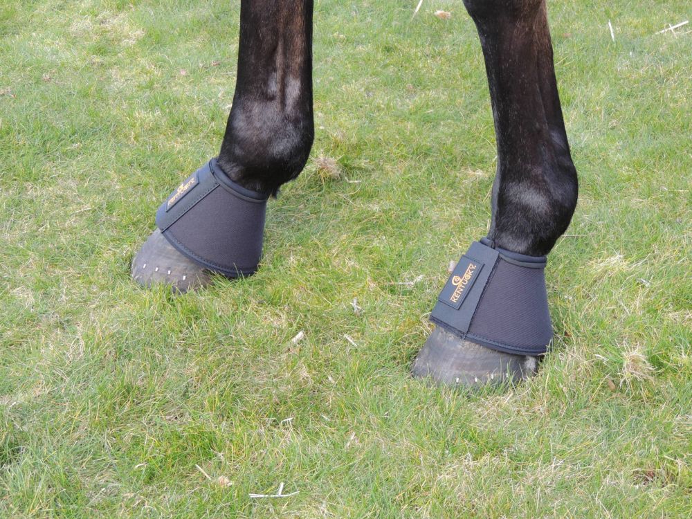 KENTUCKY® HORSEWEAR Hufglocken Solimbra