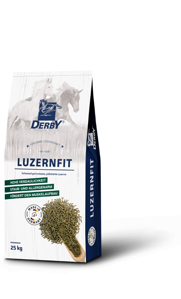 DERBY® LUZERNFIT