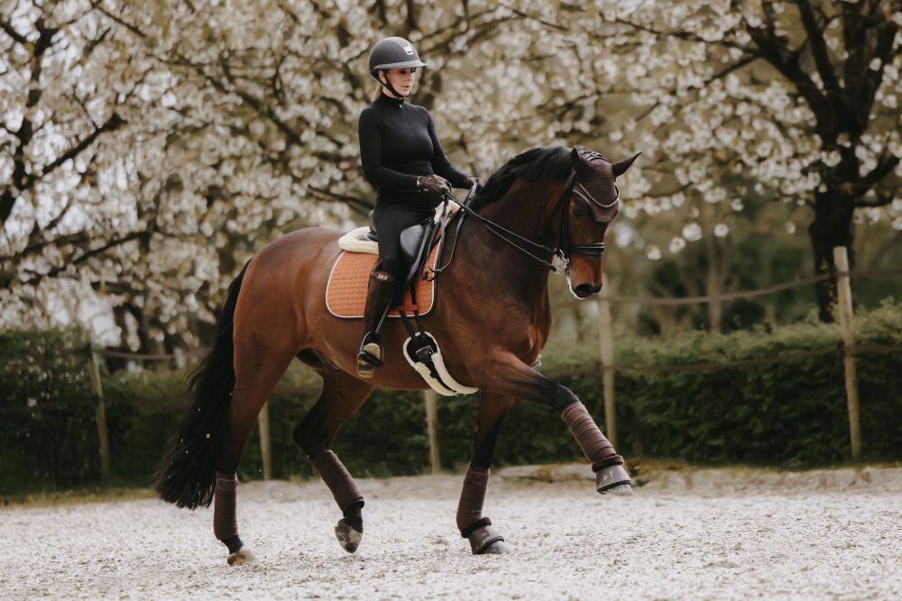 KENTUCKY® HORSEWEAR Schaffell Kurzgurt