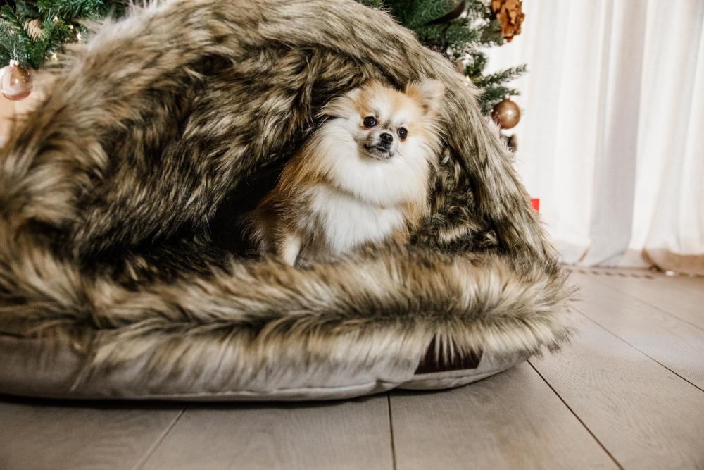 KENTUCKY® DOGWEAR Hundebett Iglu, braun