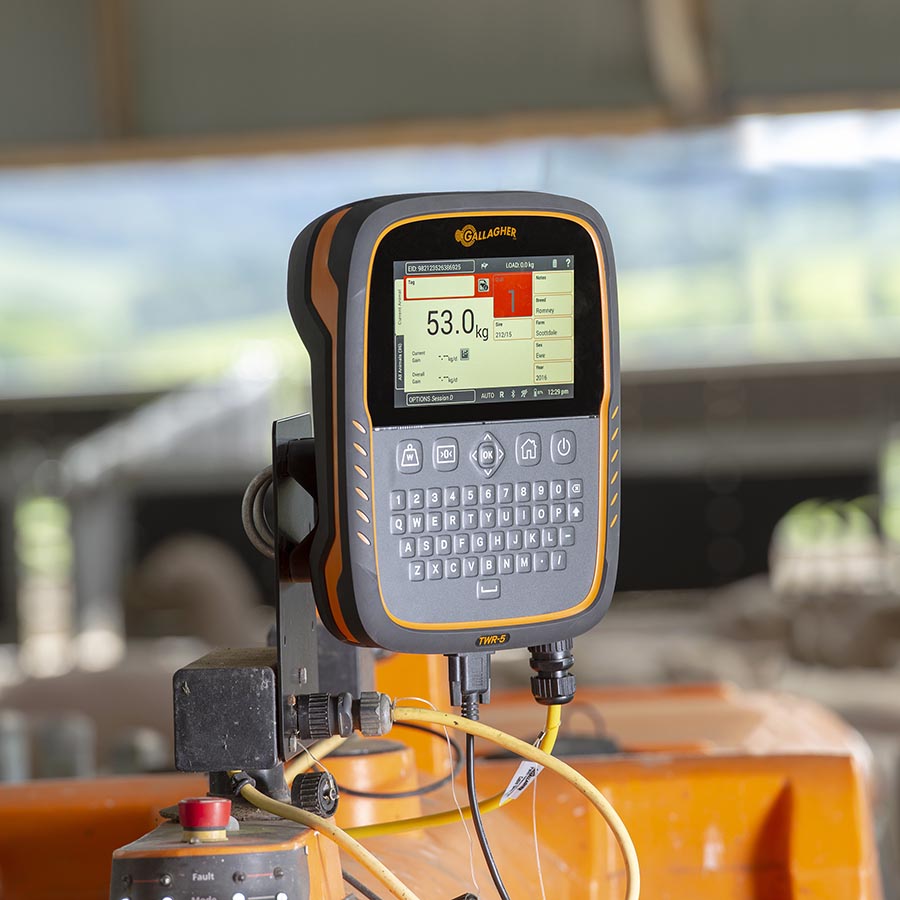 GALLAGHER TWR-5 Waage und Datensammler/EID Leser
