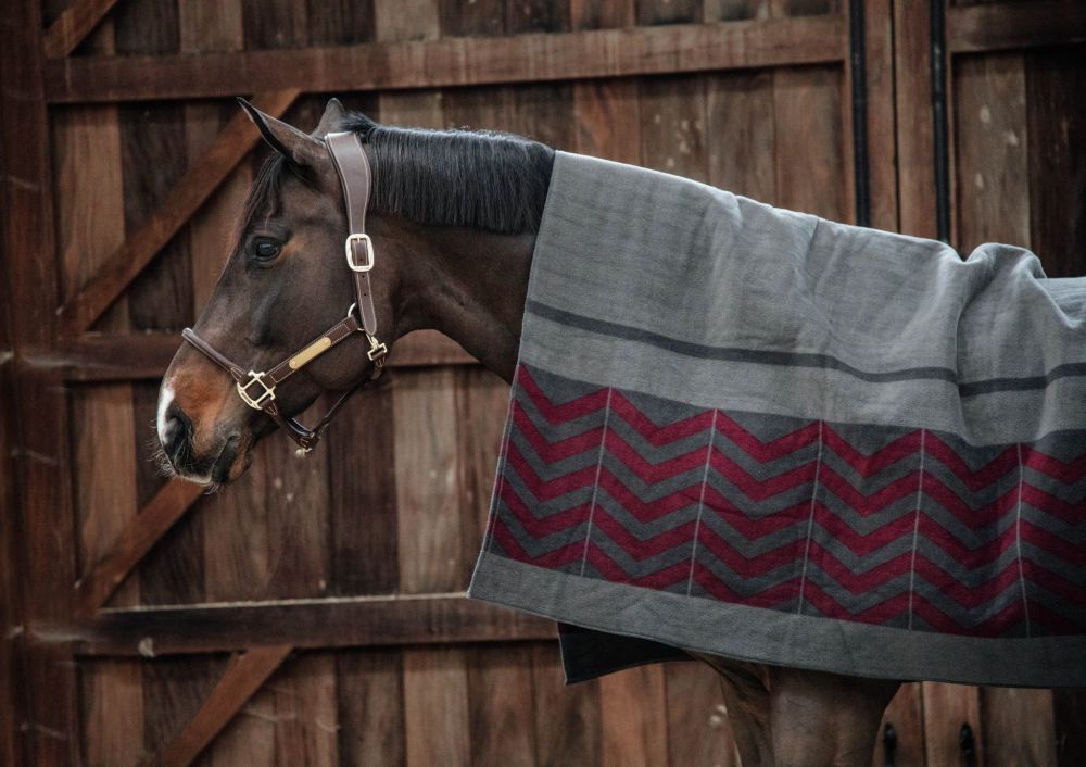 KENTUCKY® HORSEWEAR Fleecedecke Square Fishbone Heavy