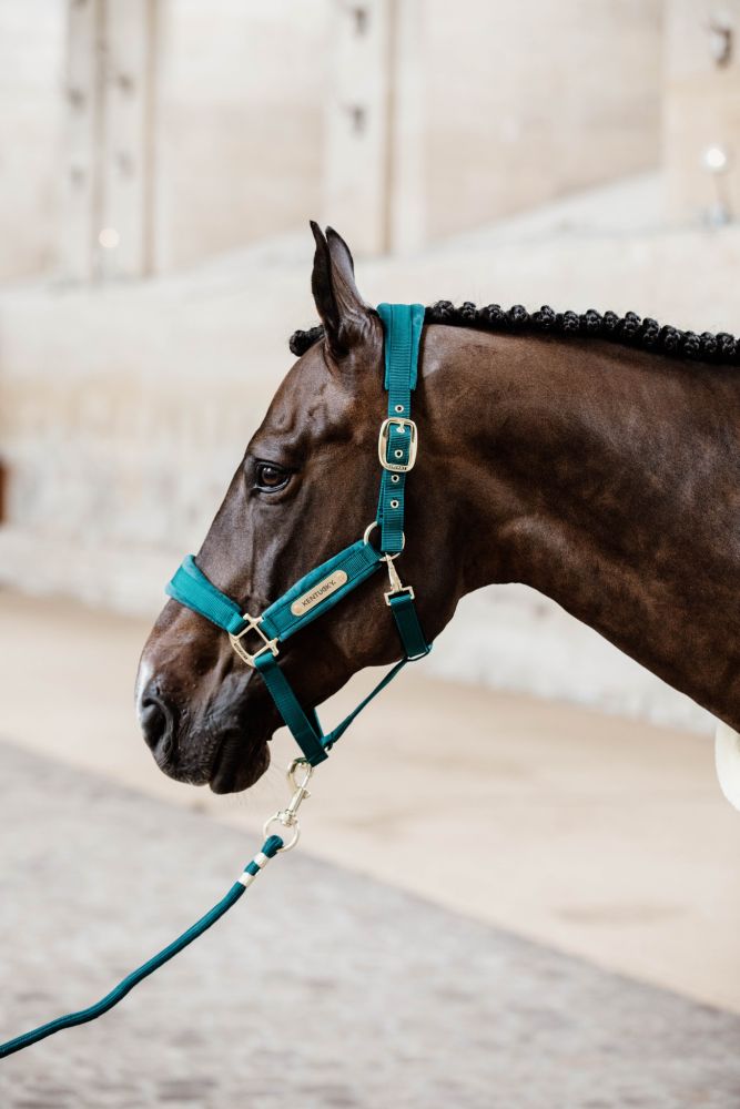 KENTUCKY® HORSEWEAR Velvet Halfter, smaragdgrün