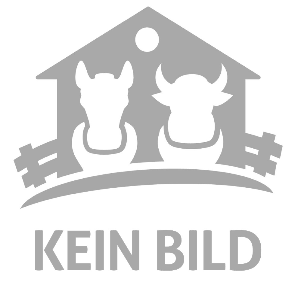 Ersatzgurt f. Bauchgurtwinde / Klauenpflegestände COMPACT