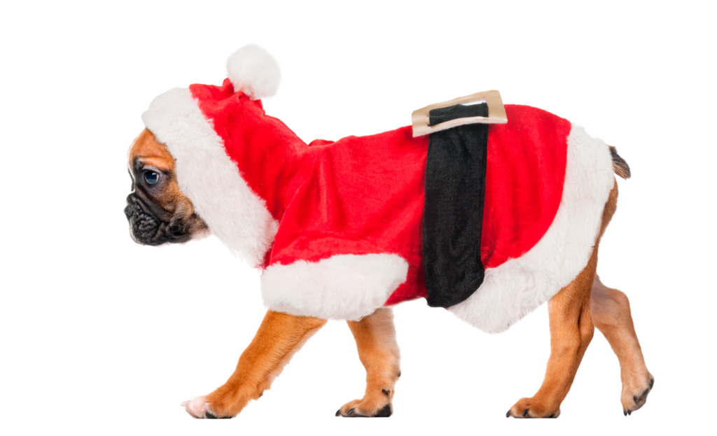 Hundemantel Weihnachtskostüm