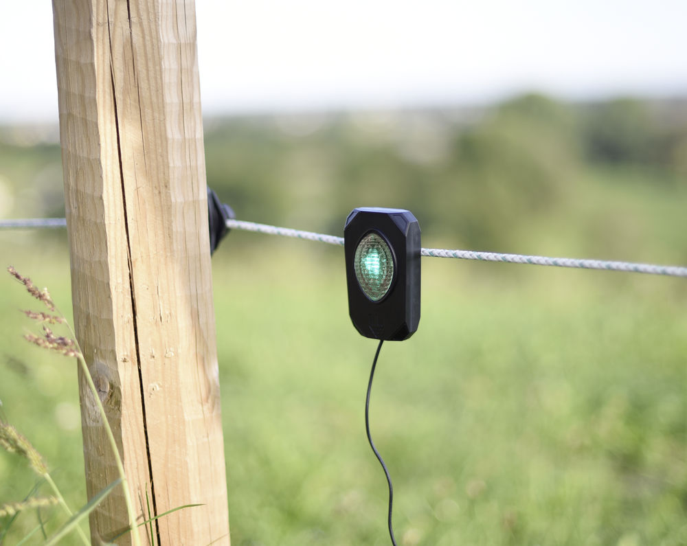 AKO Pulse Flash Zaunprüfer
