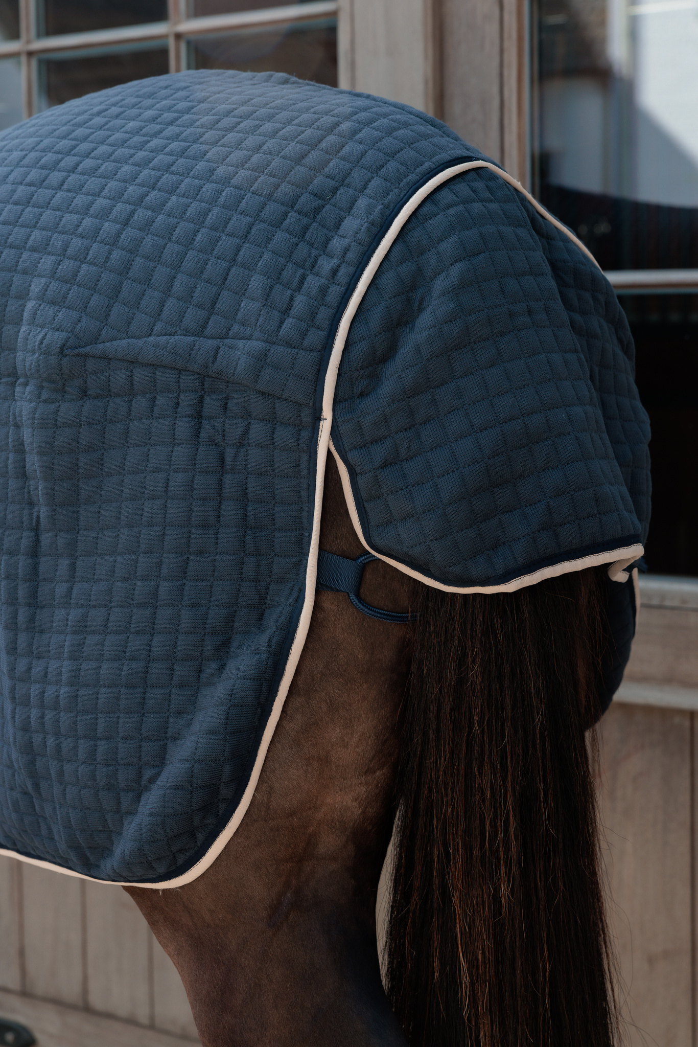 KENTUCKY® HORSEWEAR Abschwitzdecke PROTherm, navy Rückansicht der navy Abschwitzdecke PROTherm mit quadratischer Steppung und beiger Einfassung auf der Kruppe.
