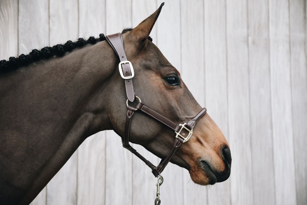 KENTUCKY® HORSEWEAR Anatomic Lederhalfter, braun
