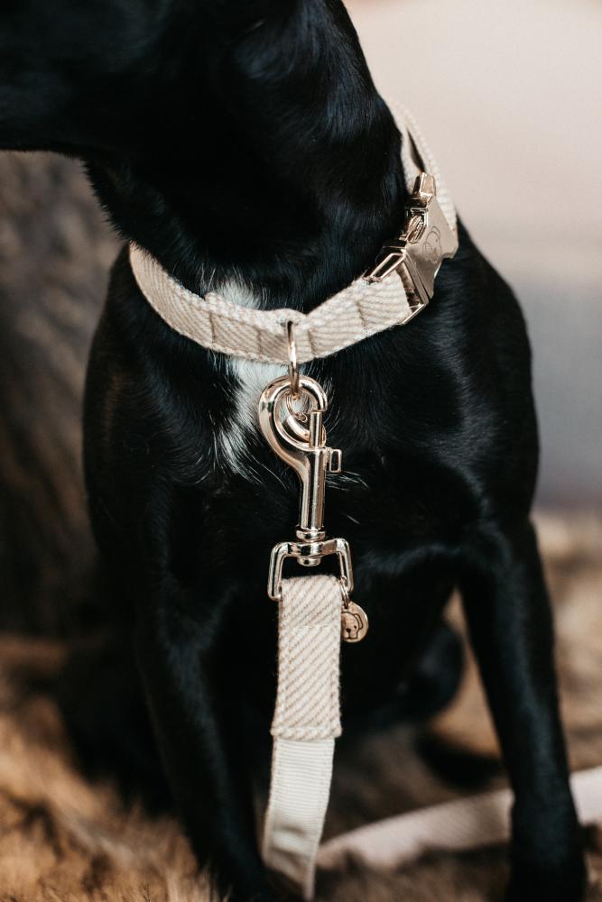 KENTUCKY® DOGWEAR Hundehalsband aus Wolle, beige