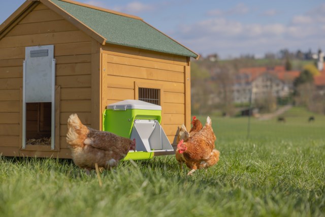 KERBL SmartCoop Futterautomat mit Schutzklappe