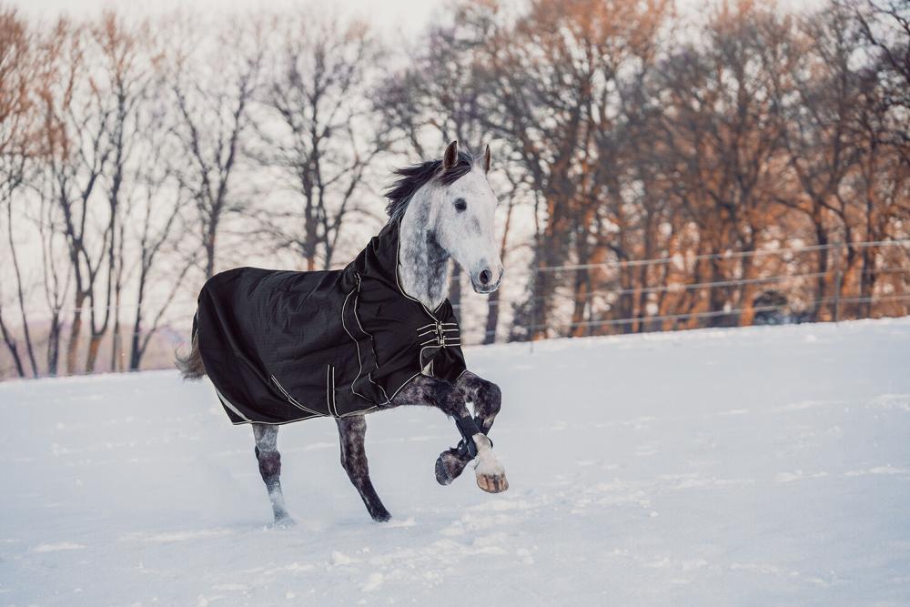 HKM Highneckdecke Innsbruck - 1200 D, 400 g Wattefüllung, schwarz Ein Schimmel galoppiert mit der schwarzen HKM Highneck Winterdecke Innsbruck durch eine verschneite Landschaft.