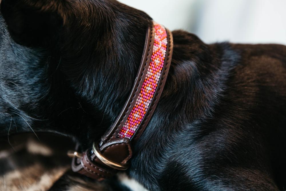 KENTUCKY® DOGWEAR Hundehalsband Pearls, rosa