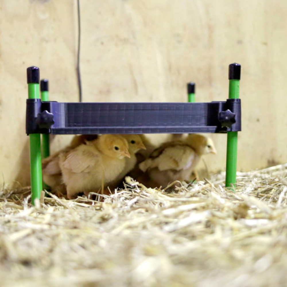 Wärmeplatte CosyHeat für Küken