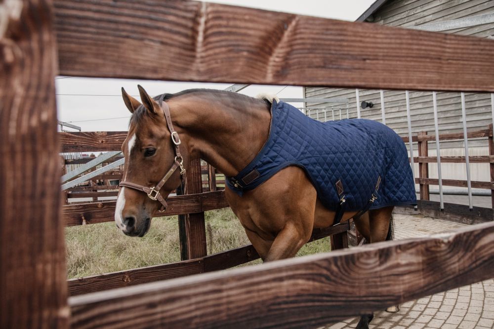 KENTUCKY® HORSEWEAR Walker Rug