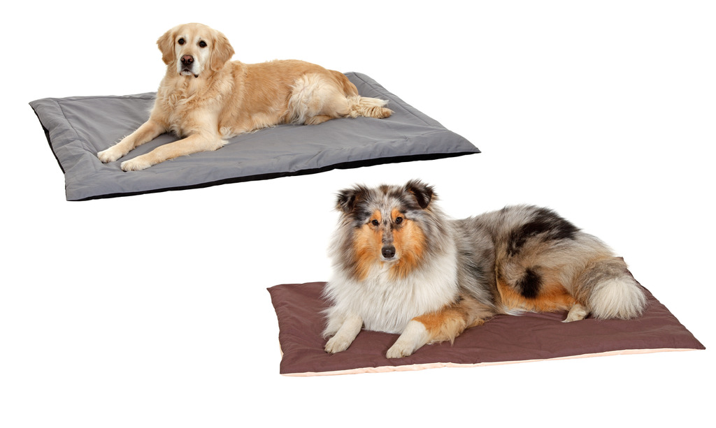 Liegedecke Doc Bed