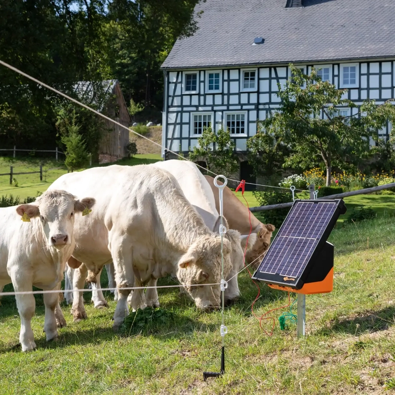 GALLAGHER Ersatzisolator Mehrdraht Pfahl, weiß (20 Stück)