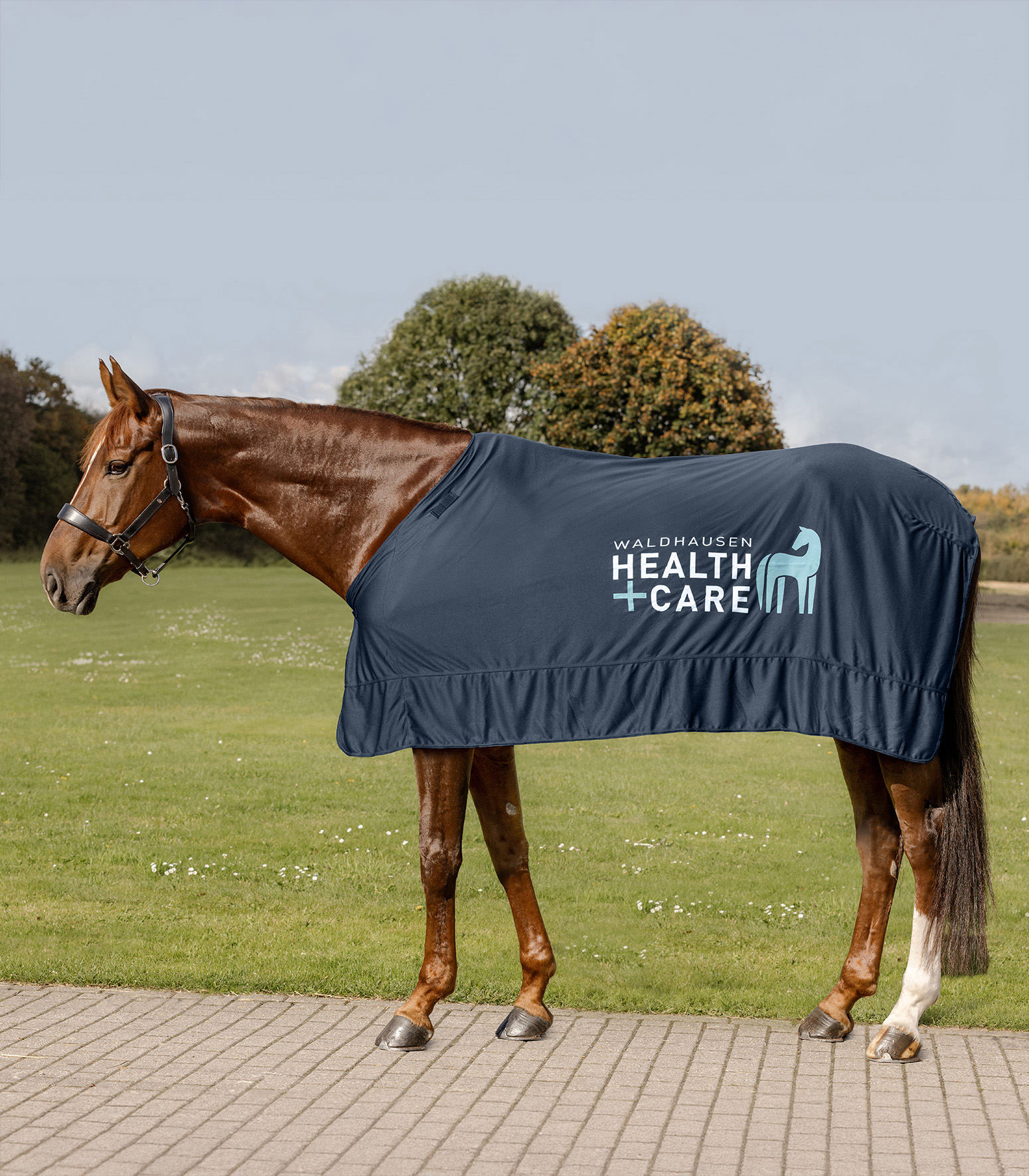 WALDHAUSEN Health + Care Ice-Layer Decke, nachtblau