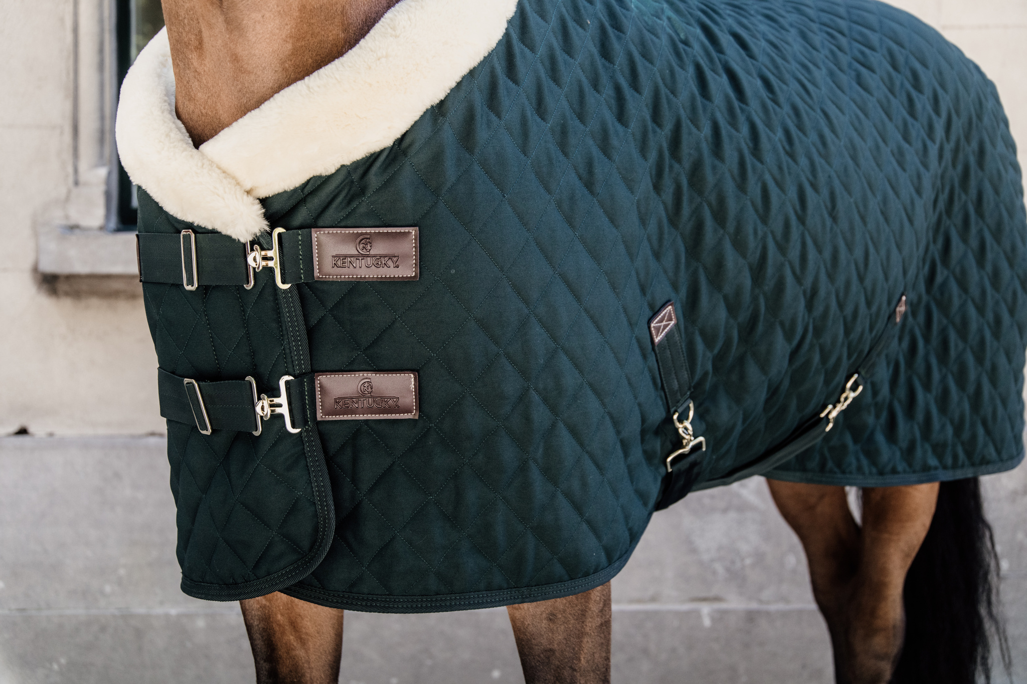 KENTUCKY® HORSEWEAR Turnierdecke, dunkelgrün