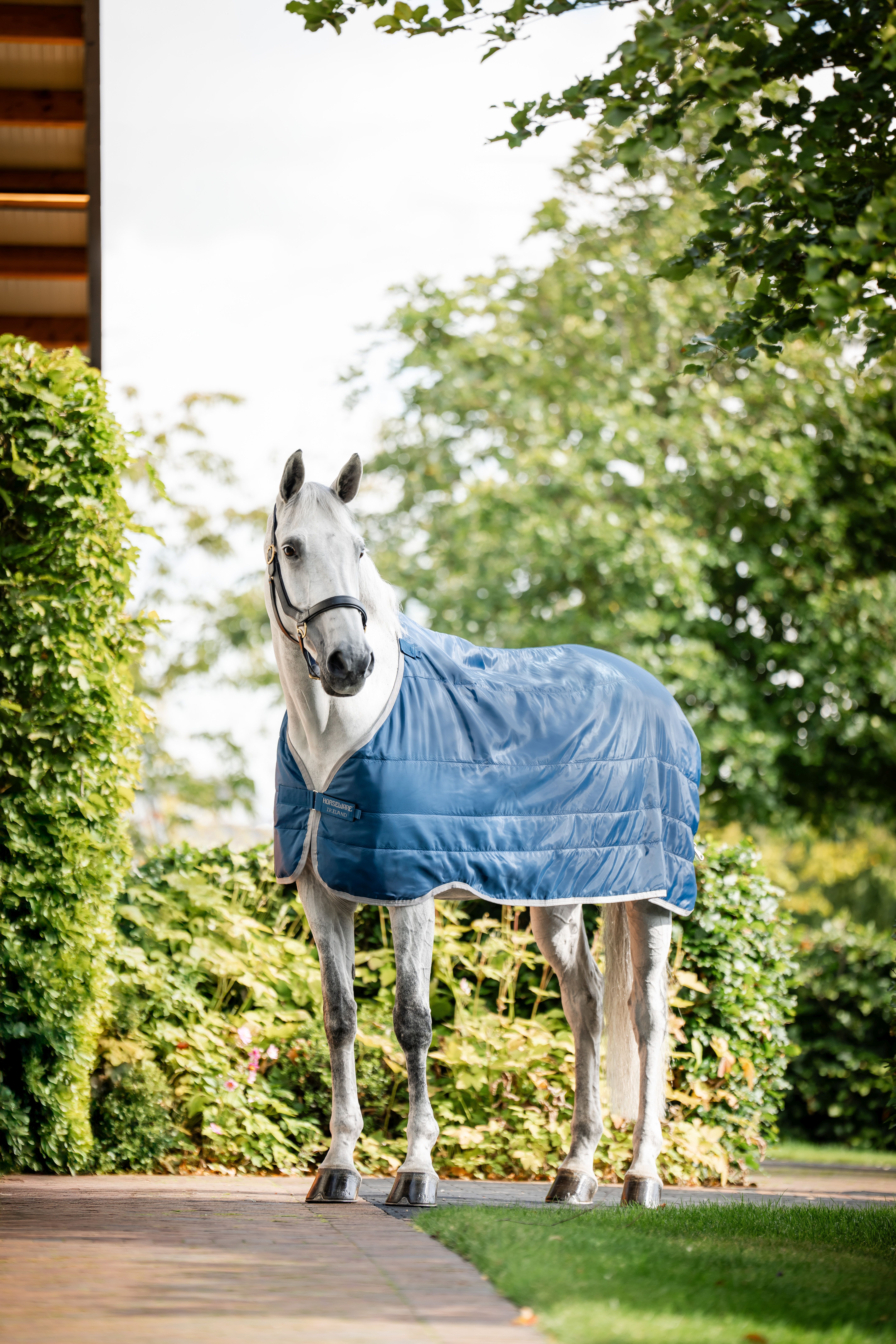 HORSEWARE® Ionic® Therapy Liner, 50 g, imperial blue/silver